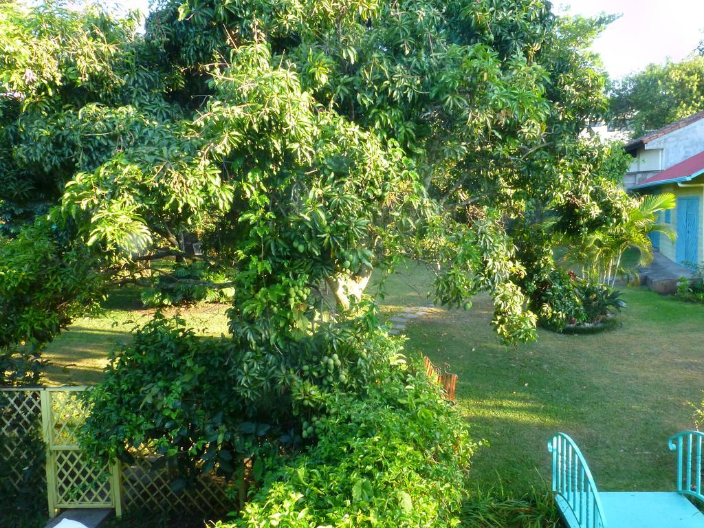 Casa De Las Tias San Jose  Luaran gambar